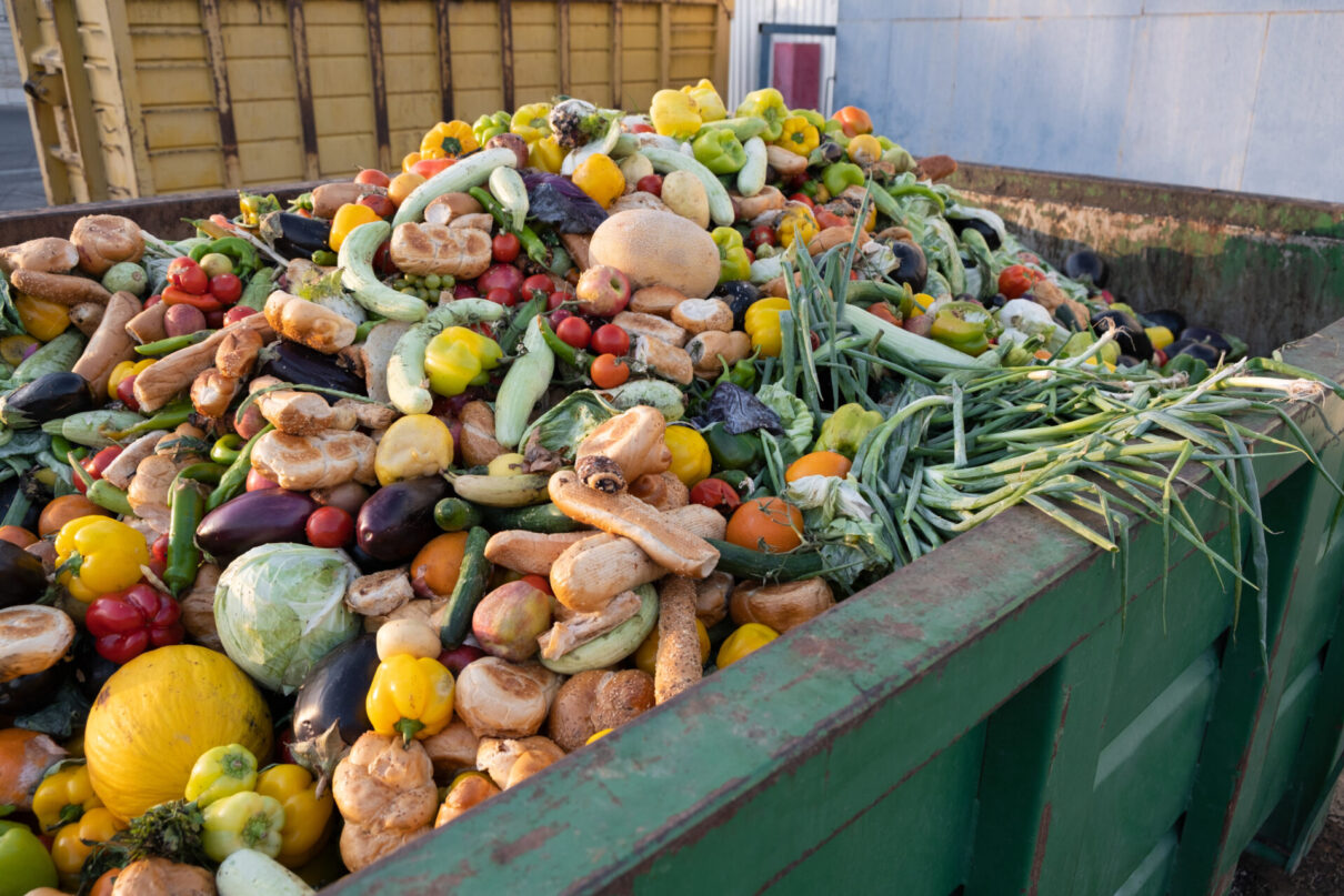 Expired Organic bio waste. Mix Vegetables and fruits in a huge container, in a rubbish bin. Heap of Compost from vegetables or food for animals.